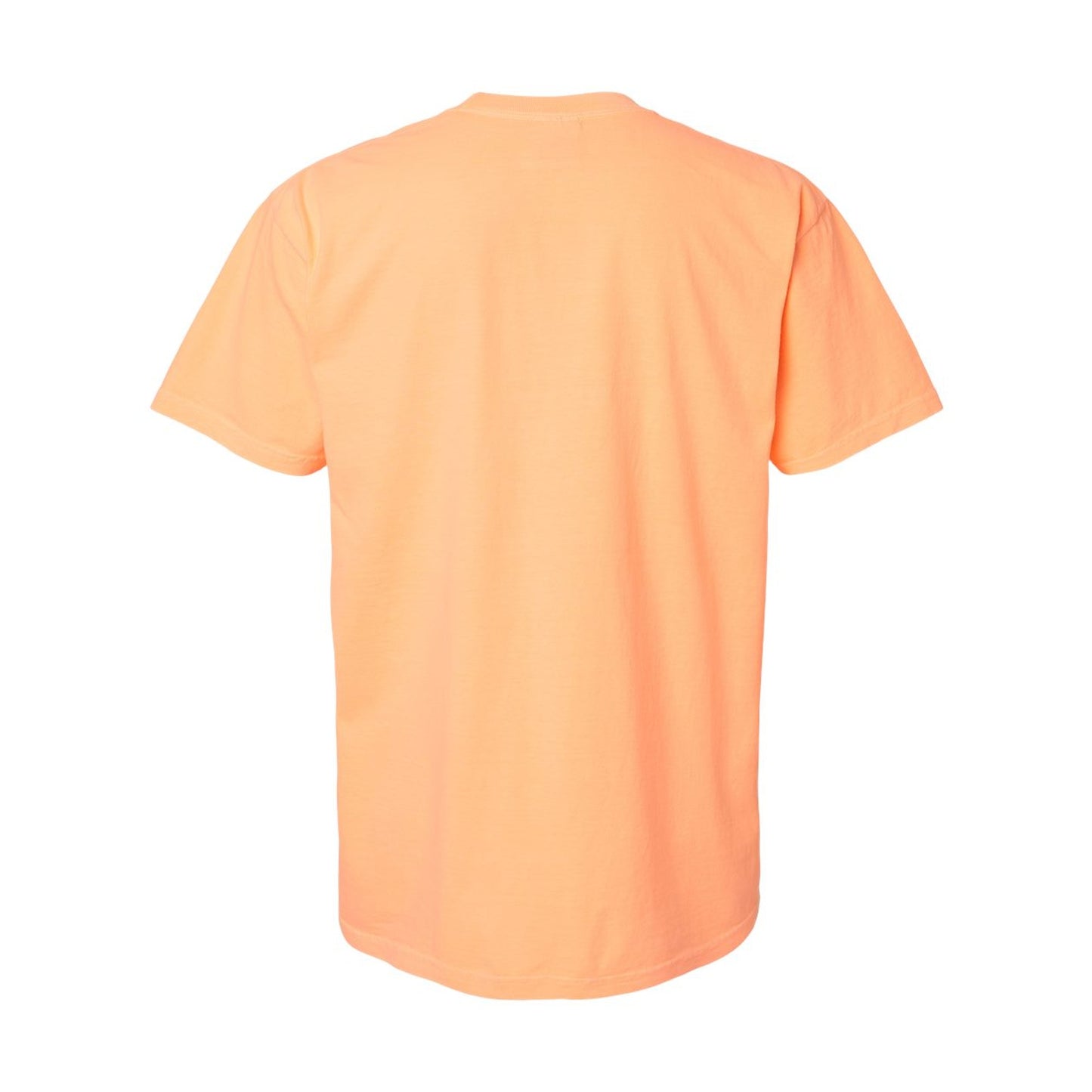 Comfort Colors 1717 | Heavyweight Adult T-Shirt