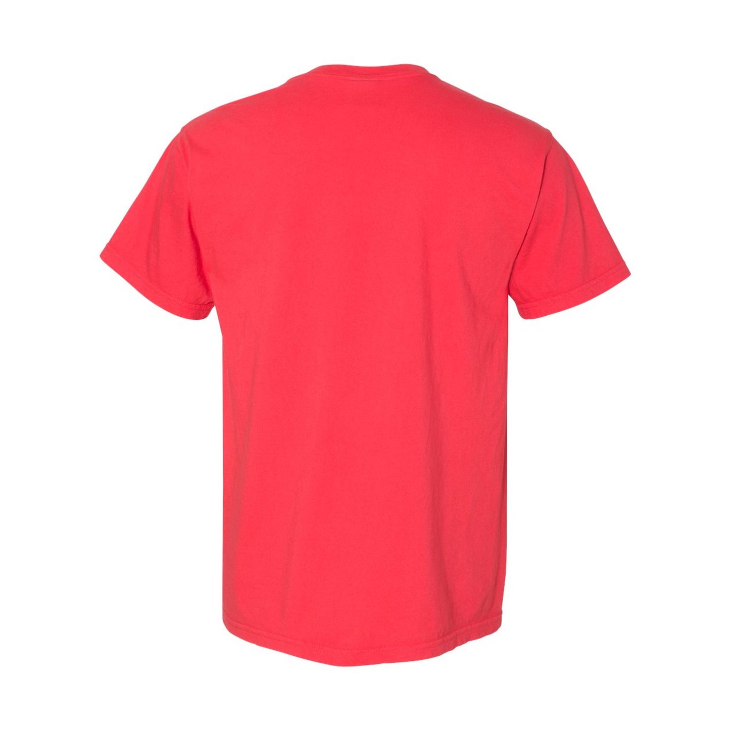 Comfort Colors 1717 | Heavyweight Adult T-Shirt