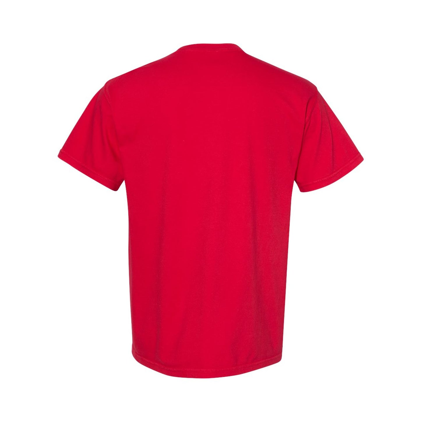 Comfort Colors 1717 | Heavyweight Adult T-Shirt