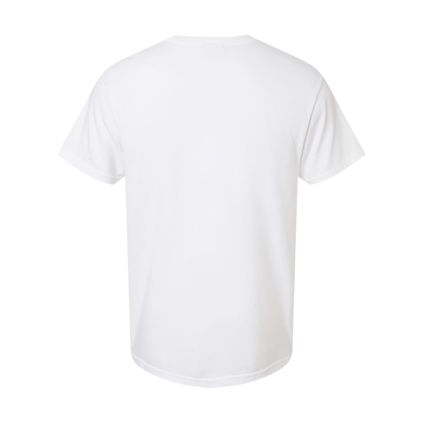 Comfort Colors 1717 | Heavyweight Adult T-Shirt